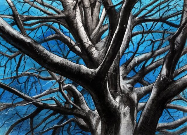 pf_upload 2-48 Close-up drawing of a large bare winter tree viewed from below, with dark charcoal branches spreading across a vivid cobalt blue painted background, emphasizing the dramatic silhouette and texture of the trunk and limbs.