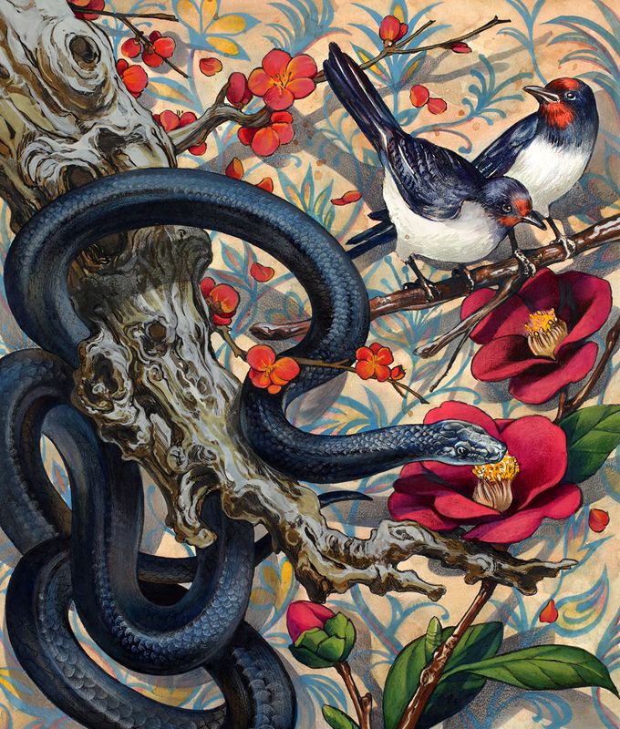 Detailed illustration portfolio work - snake and bird botanical painting by Royal Blue Art & Design student, Seoul